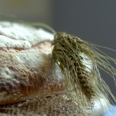 Nondisolopane - La farina di grano del miracolo: il pane