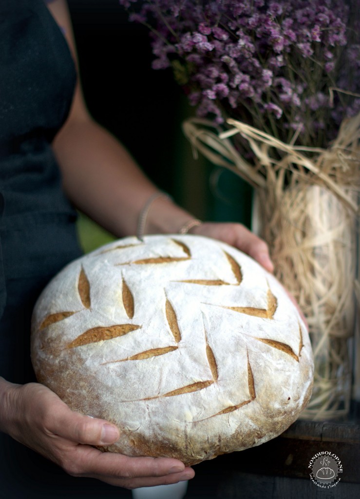 pane semplice kamut