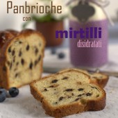 Nondisolopane - Panbrioche con mirtilli disidratati