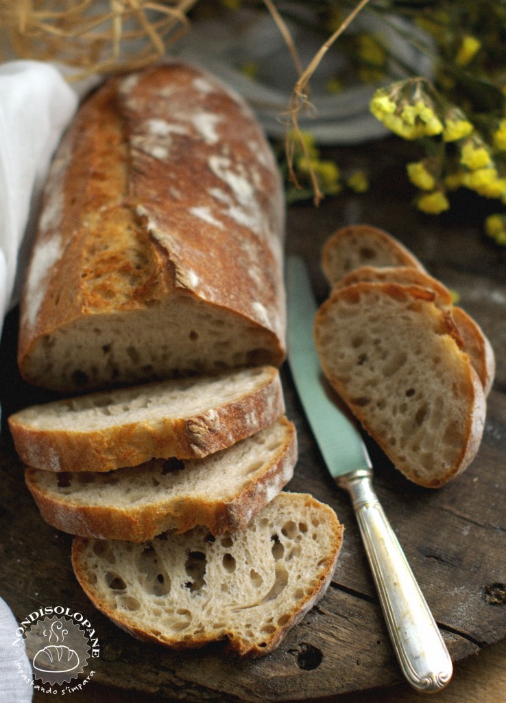 pane segale2