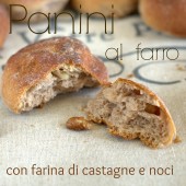 Nondisolopane - Panini al farro con farina di castagne e noci