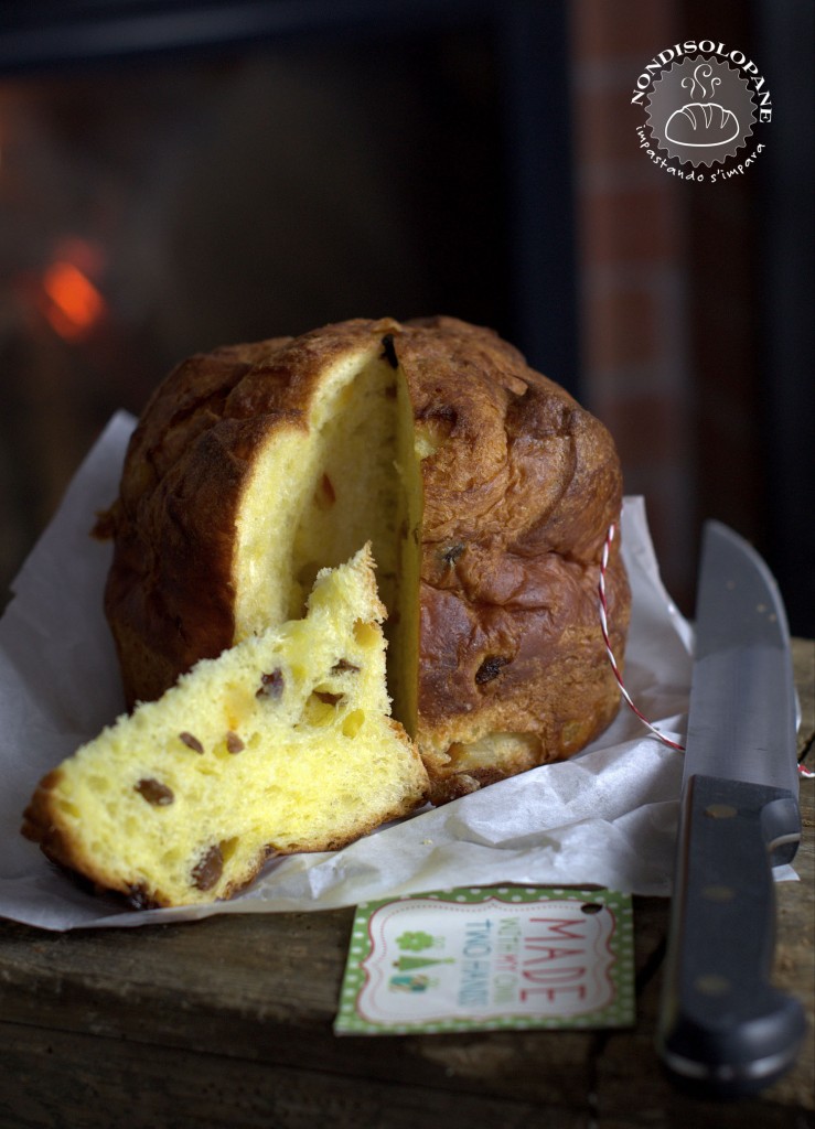 panettone raf1