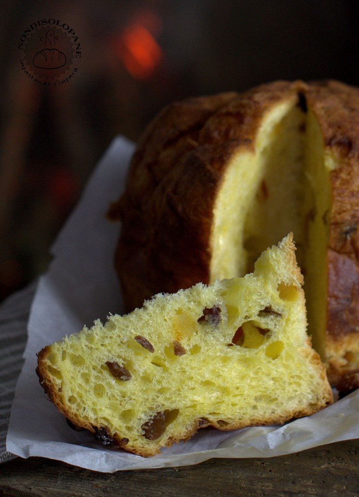 panettone raf2