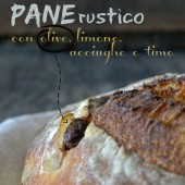 Nondisolopane - Pane rustico con olive, limone, acciughe e timo