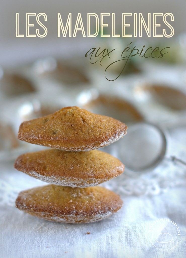 Les Madeleines aux épices (gluten-free)