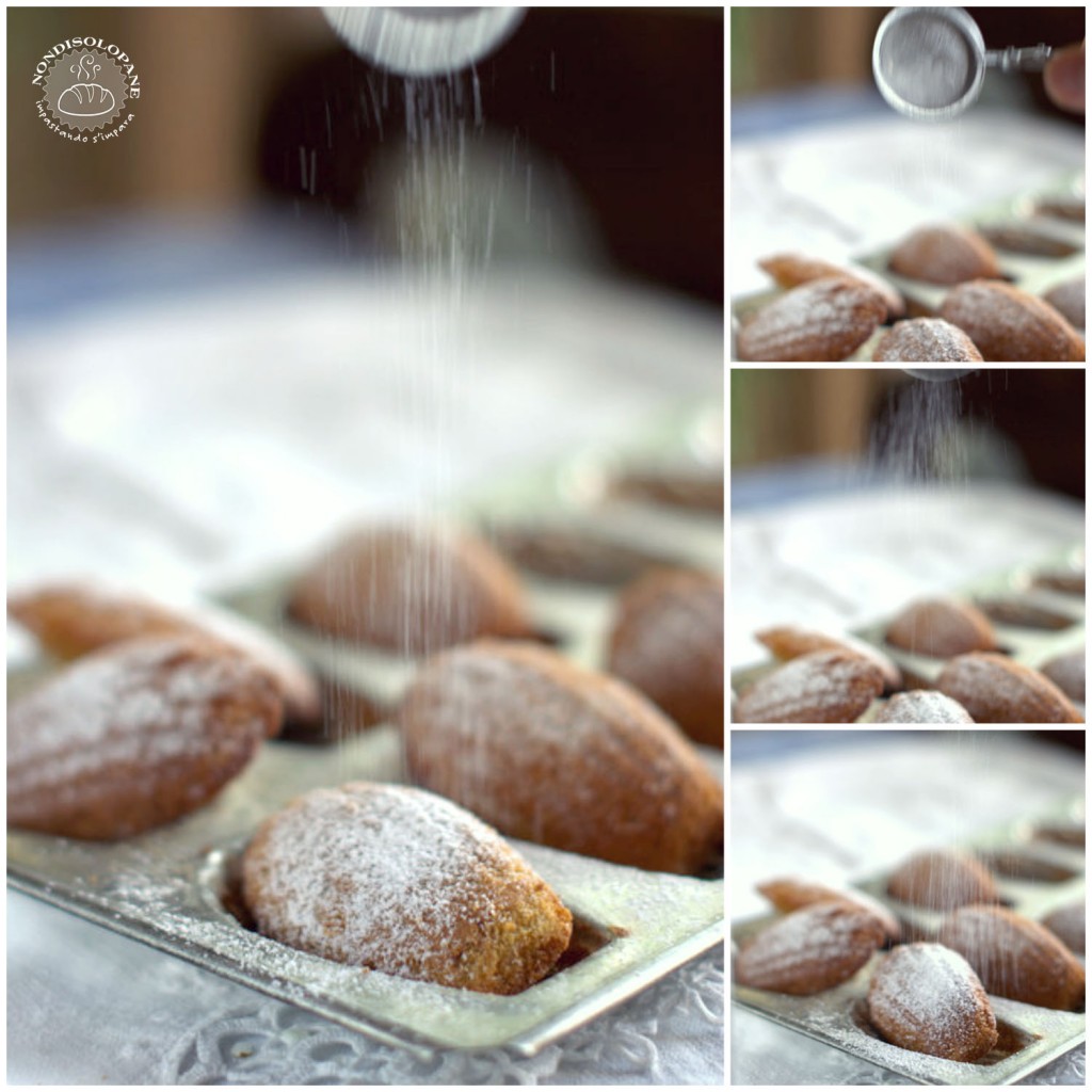 madeleines aux épices