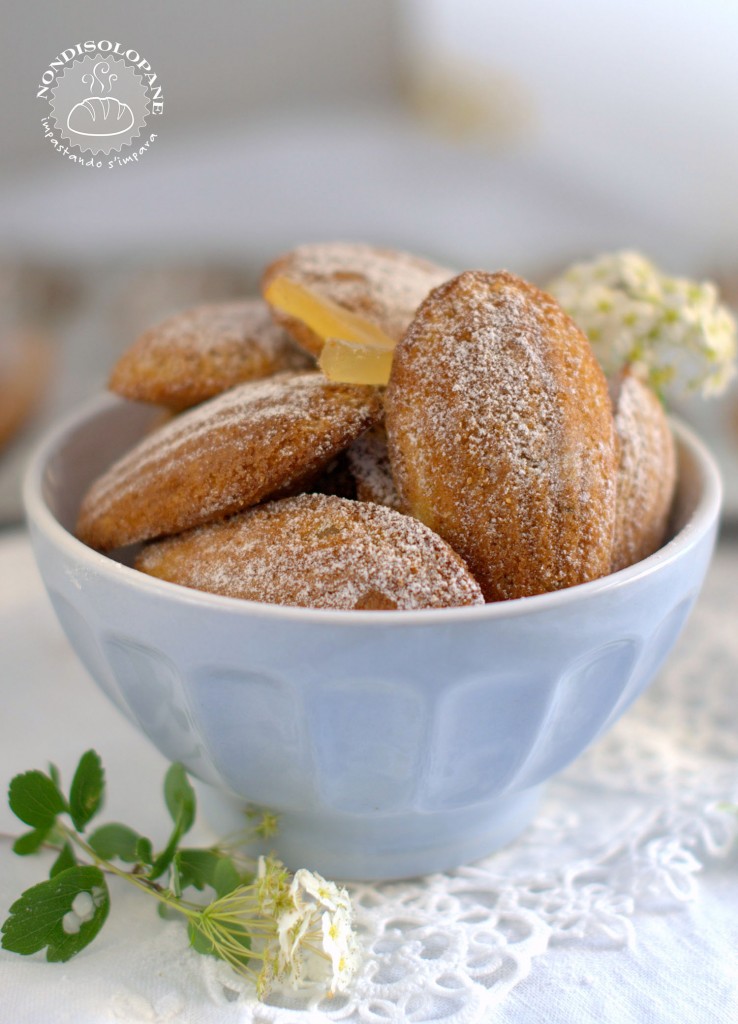 madeleines aux épices1
