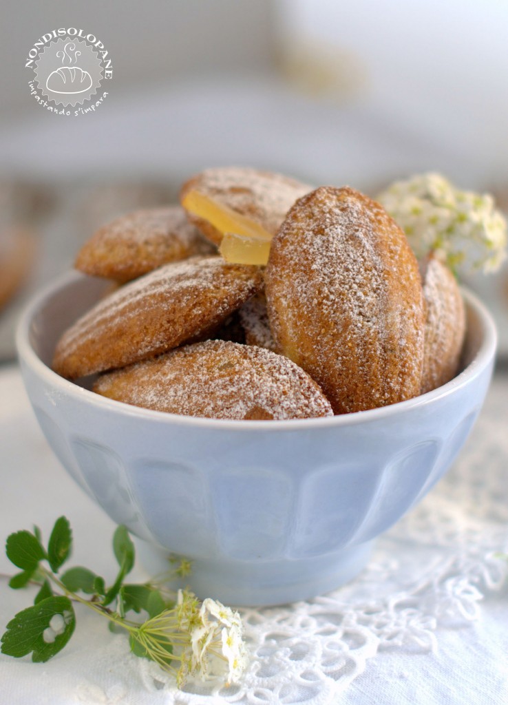 madeleines aux épices1