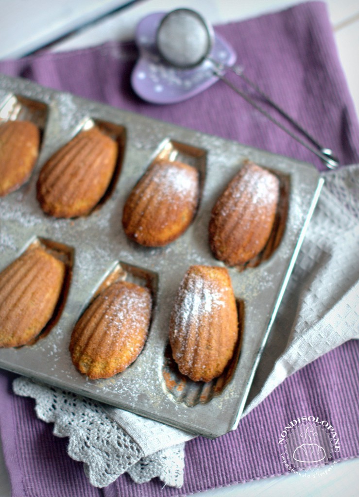 madeleines aux épices2