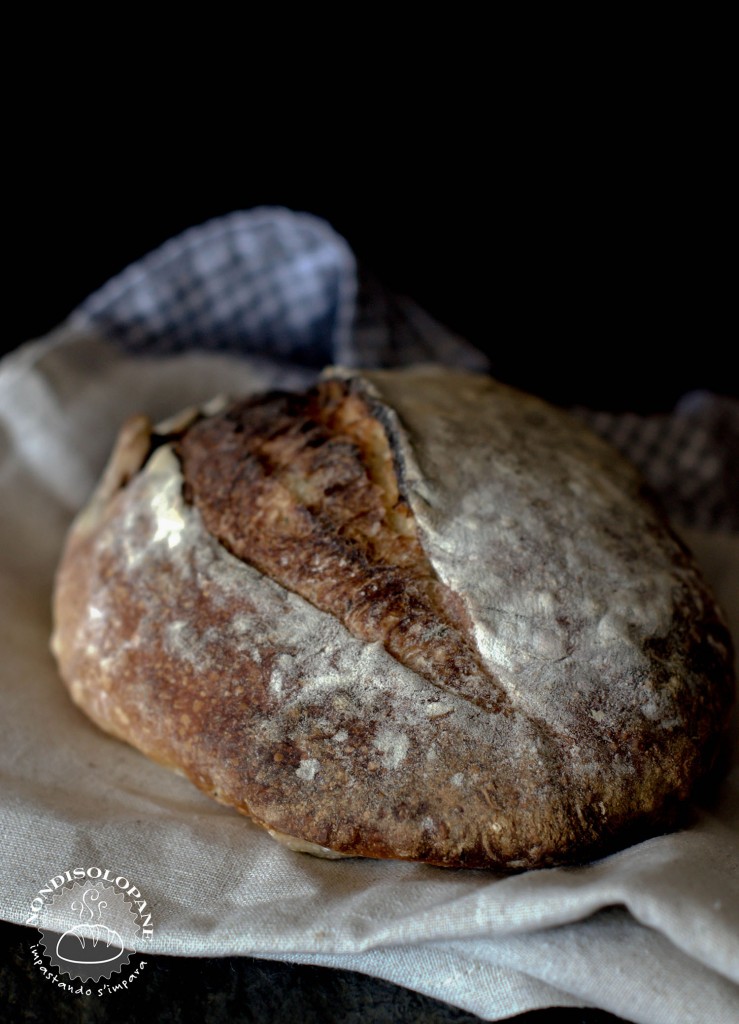 pane miracolo olive acciughe limone e timo3