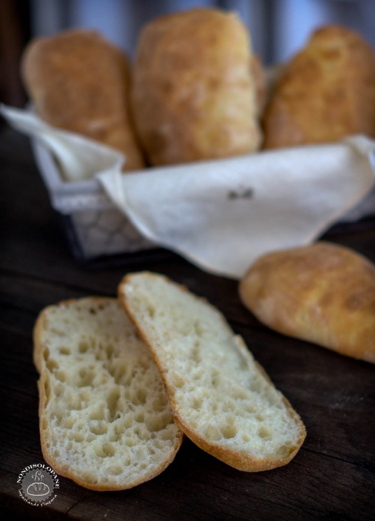 ciabatta evo-001