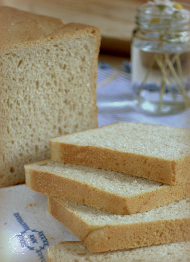 pane in cassetta latticello con Montana Q (1 di 1)-3