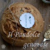 Nondisolopane - Il Pandolce genovese