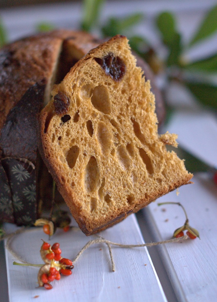 Pan Ficotto con Uva caramellata e riduzione al Marsala