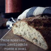 Nondisolopane - Pane speziato con lenticchie rosse e semi