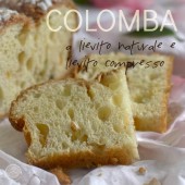 Nondisolopane - Colomba con lievito naturale e lievito compresso del Maestro Favorito