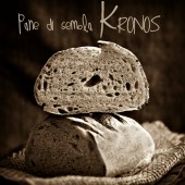 Nondisolopane - Le forme del pane: La Coupe Saucisson di semola Kronos Qb