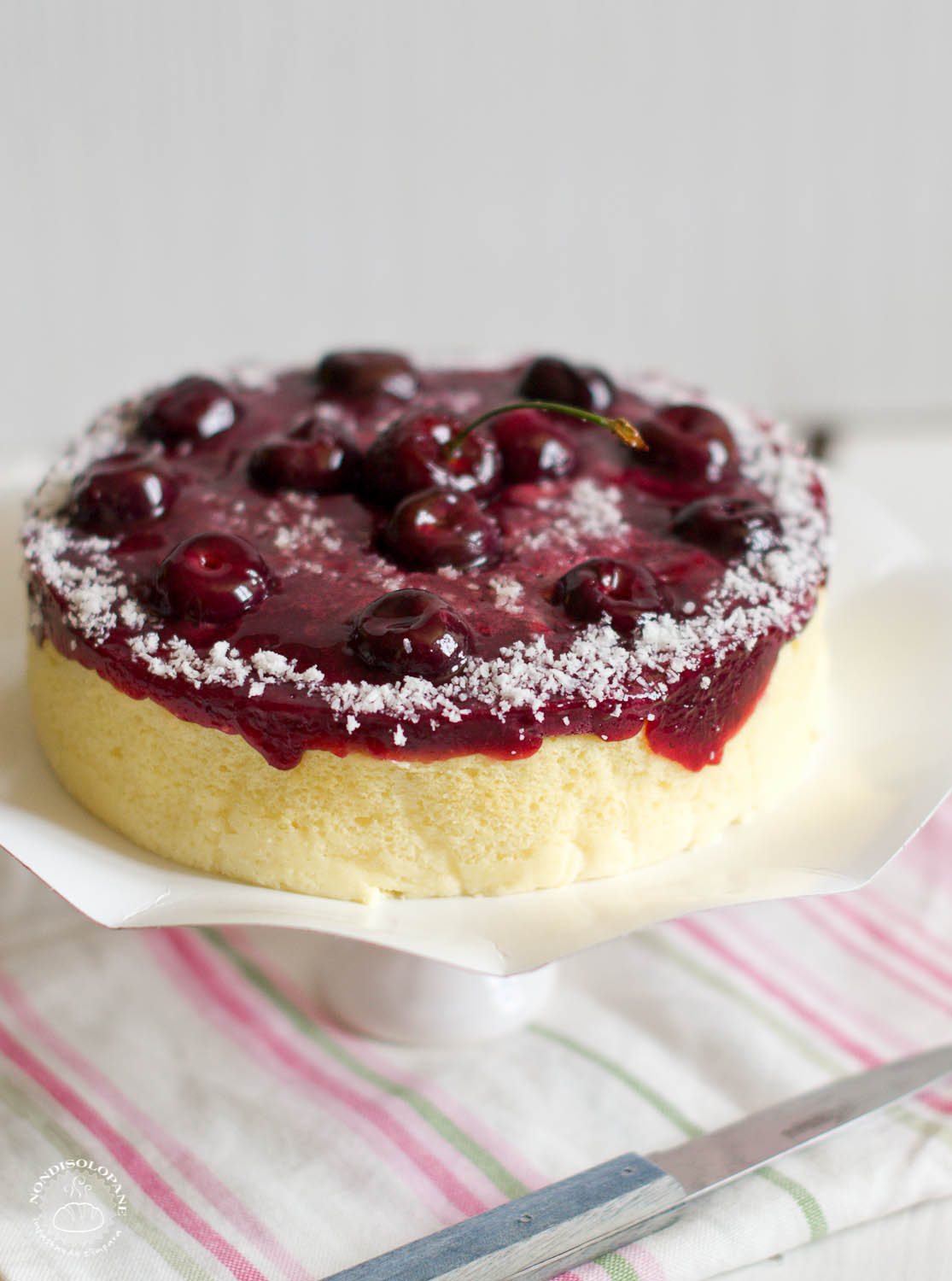 Soft Cheescake Cotton Soft Cheesecake | NONDISOLOPANE