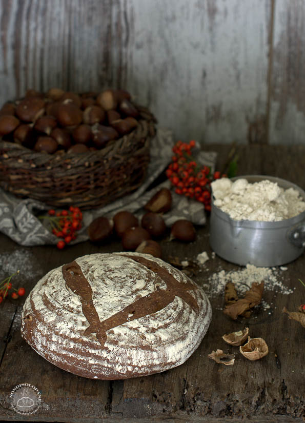 Pane Martino con farina di castagne e noci